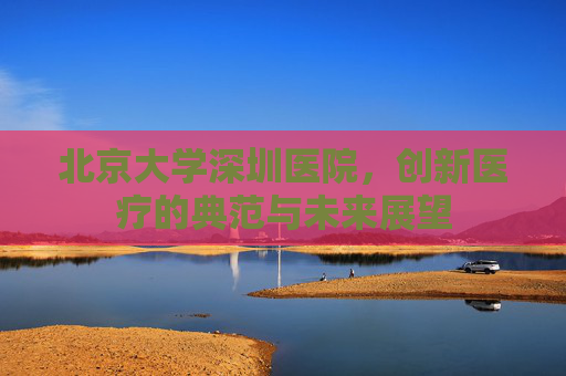 北京大学深圳医院，创新医疗的典范与未来展望