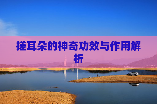 搓耳朵的神奇功效与作用解析