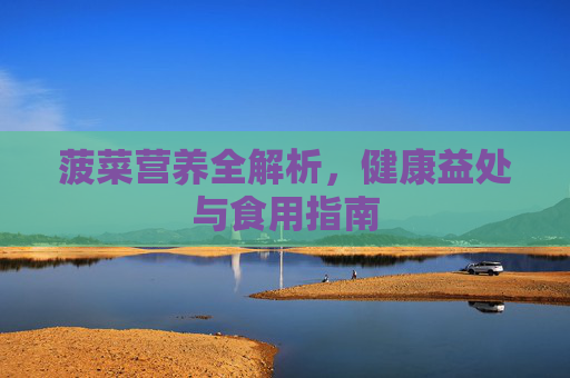 菠菜营养全解析，健康益处与食用指南