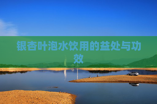 银杏叶泡水饮用的益处与功效 银杏叶泡水饮用的益处与功效