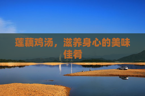 莲藕鸡汤，滋养身心的美味佳肴