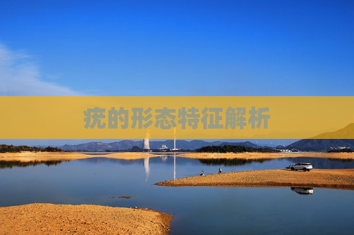 疣的形态特征解析
