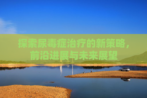探索尿毒症治疗的新策略，前沿进展与未来展望