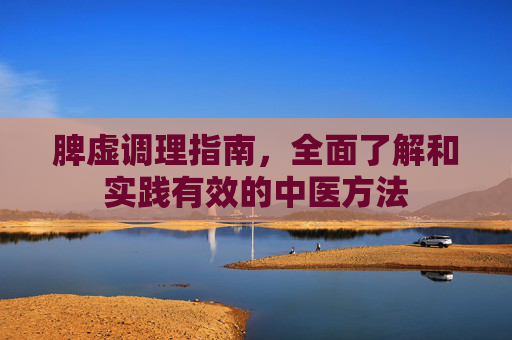 脾虚调理指南，全面了解和实践有效的中医方法