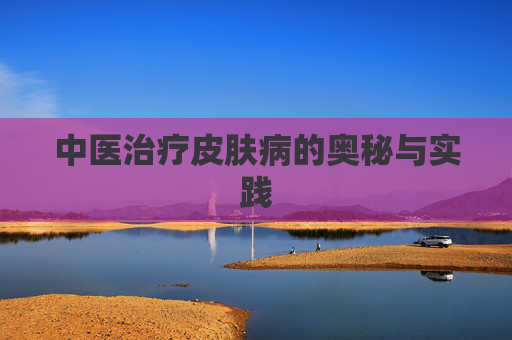 中医治疗皮肤病的奥秘与实践 中医治疗皮肤病的奥秘与实践