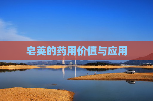 皂荚的药用价值与应用