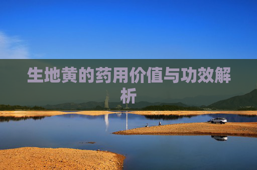 生地黄的药用价值与功效解析