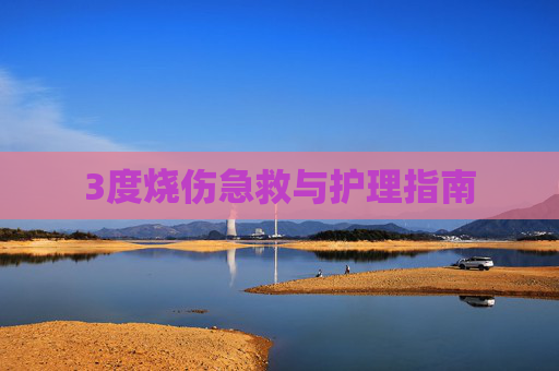 3度烧伤急救与护理指南