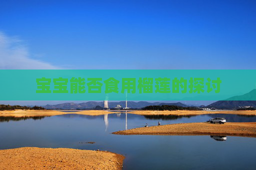 宝宝能否食用榴莲的探讨