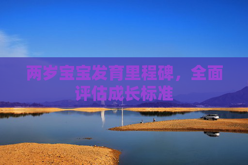两岁宝宝发育里程碑，全面评估成长标准