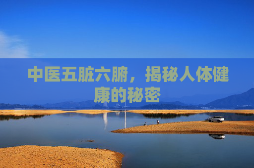 中医五脏六腑，揭秘人体健康的秘密