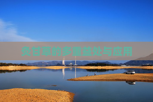 灸甘草的多重益处与应用 灸甘草的多重益处与应用