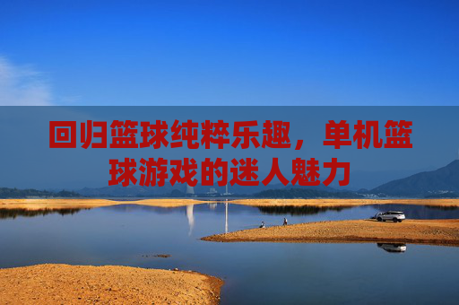 回归篮球纯粹乐趣，单机篮球游戏的迷人魅力