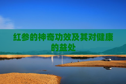 红参的神奇功效及其对健康的益处