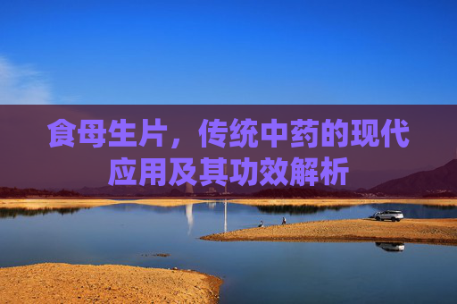 食母生片，传统中药的现代应用及其功效解析
