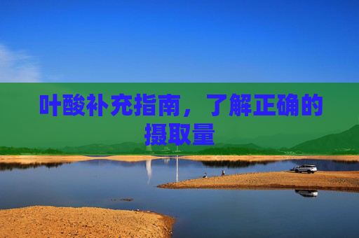 叶酸补充指南，了解正确的摄取量