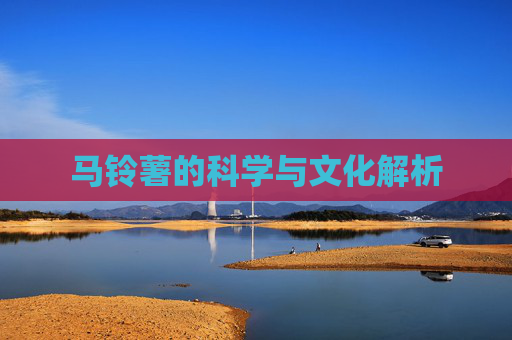 马铃薯的科学与文化解析 马铃薯的科学与文化解析