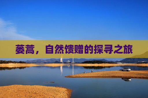 蒌蒿，自然馈赠的探寻之旅