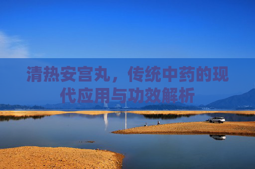 清热安宫丸，传统中药的现代应用与功效解析