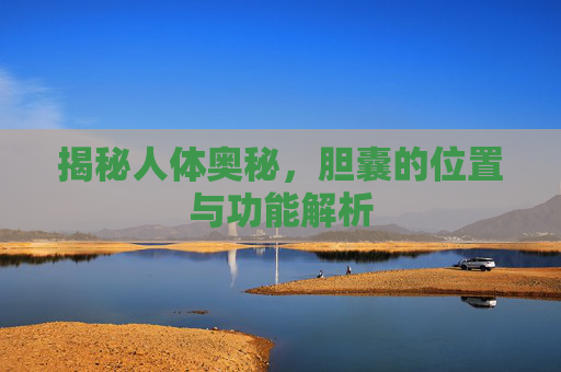 揭秘人体奥秘，胆囊的位置与功能解析