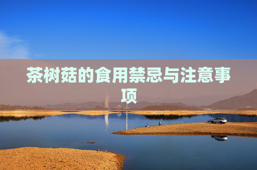 茶树菇的食用禁忌与注意事项