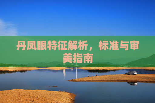 丹凤眼特征解析，标准与审美指南