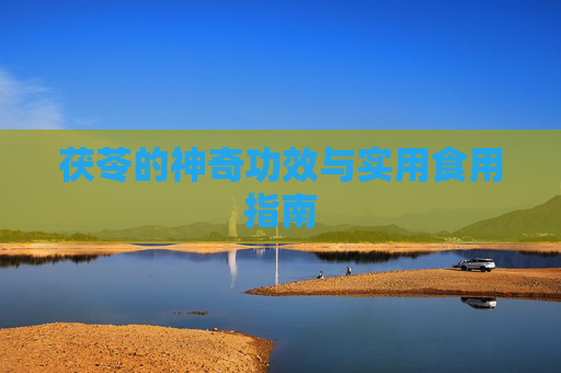 茯苓的神奇功效与实用食用指南