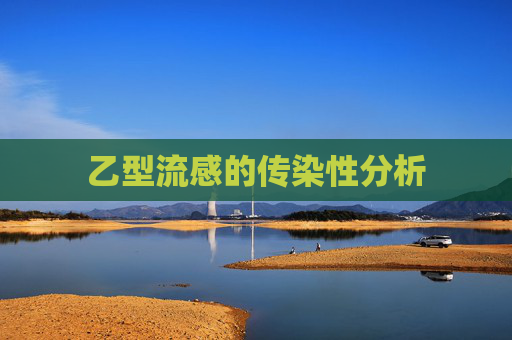乙型流感的传染性分析