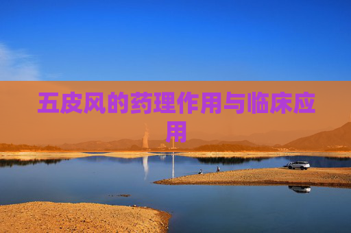 五皮风的药理作用与临床应用