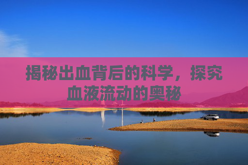 揭秘出血背后的科学，探究血液流动的奥秘