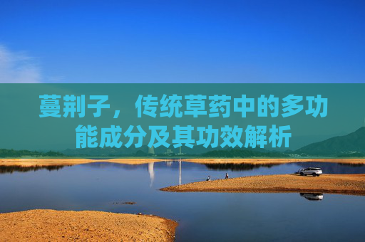 蔓荆子，传统草药中的多功能成分及其功效解析