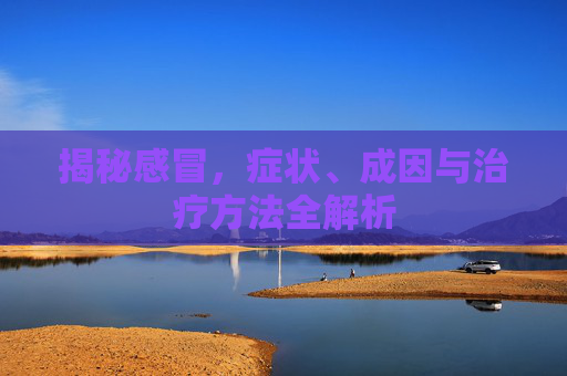 揭秘感冒，症状、成因与治疗方法全解析