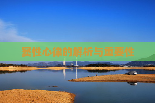 窦性心律的解析与重要性