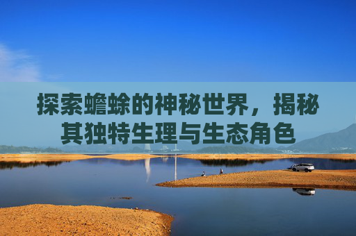 探索蟾蜍的神秘世界，揭秘其独特生理与生态角色