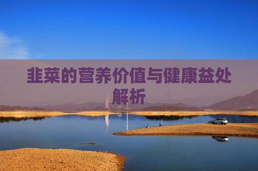 韭菜的营养价值与健康益处解析 韭菜的营养价值与健康益处解析