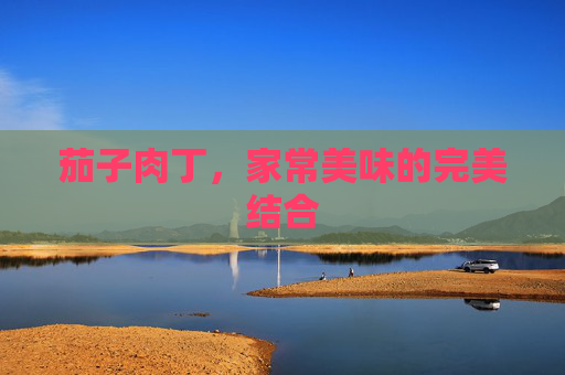 茄子肉丁，家常美味的完美结合