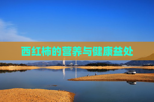 西红柿的营养与健康益处