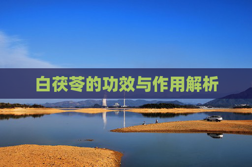 白茯苓的功效与作用解析
