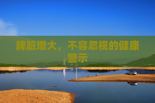 脾脏增大，不容忽视的健康警示