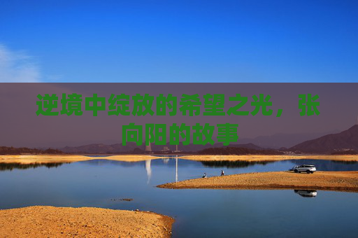 逆境中绽放的希望之光，张向阳的故事
