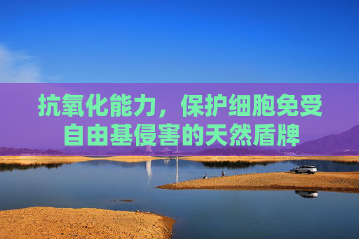 抗氧化能力，保护细胞免受自由基侵害的天然盾牌