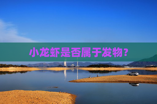 小龙虾是否属于发物？
