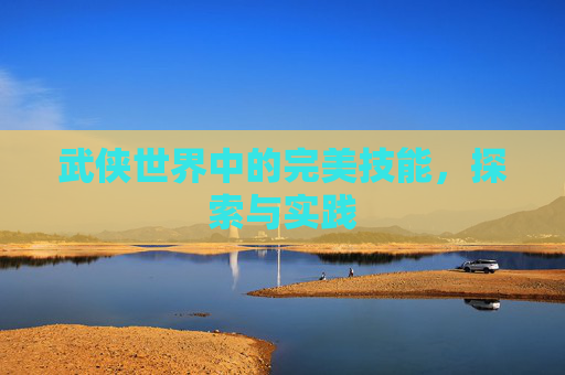 武侠世界中的完美技能，探索与实践