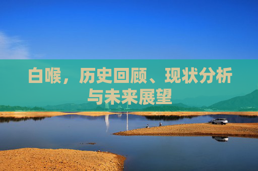 白喉，历史回顾、现状分析与未来展望