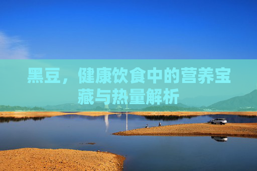 黑豆，健康饮食中的营养宝藏与热量解析