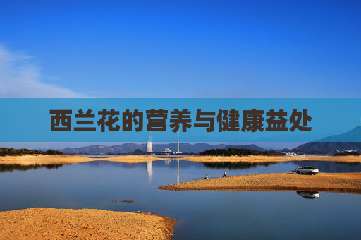 西兰花的营养与健康益处