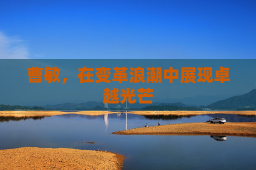 曹敏，在变革浪潮中展现卓越光芒