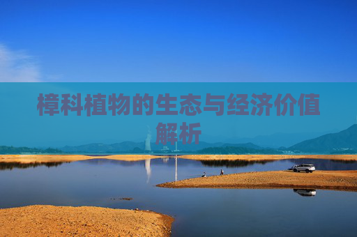 樟科植物的生态与经济价值解析