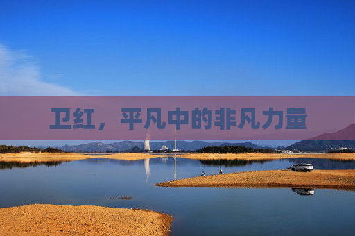 卫红，平凡中的非凡力量