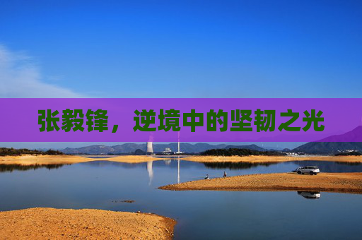 张毅锋，逆境中的坚韧之光